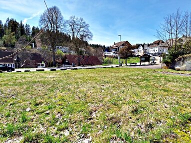 Grundstück zum Kauf 130.000 € 1.681 m² Grundstück Kniebis Freudenstadt 72250