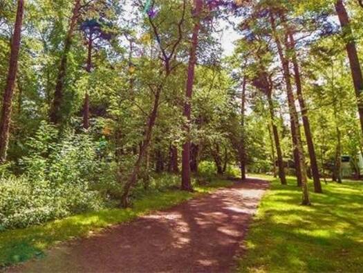 Gewerbeobjekt zum Kauf als Kapitalanlage geeignet 3.199.000 € 30 Zimmer 788 m² Berlin 14199