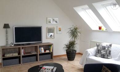Wohnung zur Miete Wohnen auf Zeit 1.350 € 4 Zimmer 79 m² frei ab 15.07.2025 Bombach Kenzingen-Bombach 79341