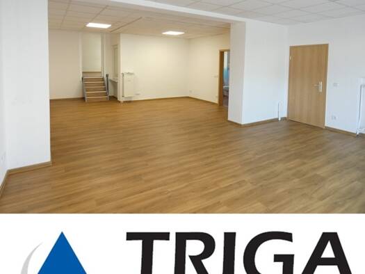 Bürofläche zur Miete 6,50 € 62 m² Bürofläche Nordhausen 99734