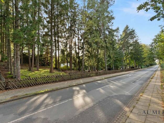 Einfamilienhaus zum Kauf provisionsfrei 349.000 € 6 Zimmer 222,9 m² 3.000 m² Grundstück frei ab 01.11.2026 Holm-Seppensen Buchholz in der Nordheide 21244