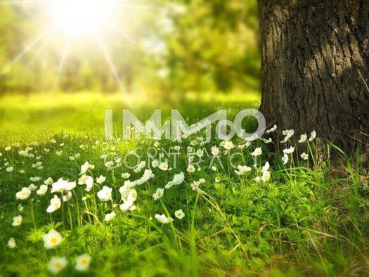 Grundstück zum Kauf 55.000 € 1.009 m² Grundstück Markt Neuhodis 7464