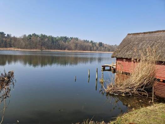 Haus zum Kauf 150.000 € 12 Zimmer 260 m² 792 m² Grundstück Dargun 17159