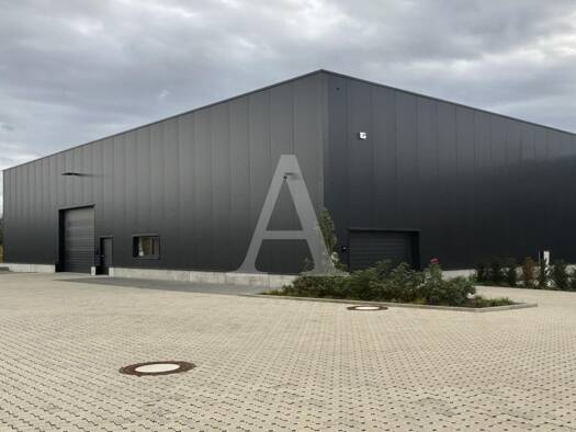 Halle/Industriefläche zur Miete provisionsfrei Sindorf Kerpen 50170