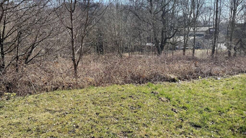 Grundstück zum Kauf 35.000 € 2.550 m² Grundstück Beiersdorf 02736