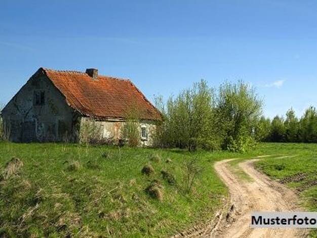 Bauernhaus zum Kauf 85.000 € 455,1 m² 227 m² Grundstück Rehborn 55592