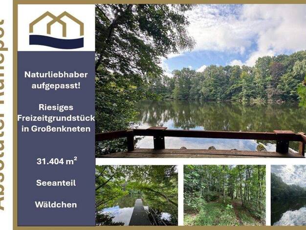 Grundstück zum Kauf 159.000 € 31.404 m² Grundstück Birkenallee 23 Hosüne Großenkneten 26197