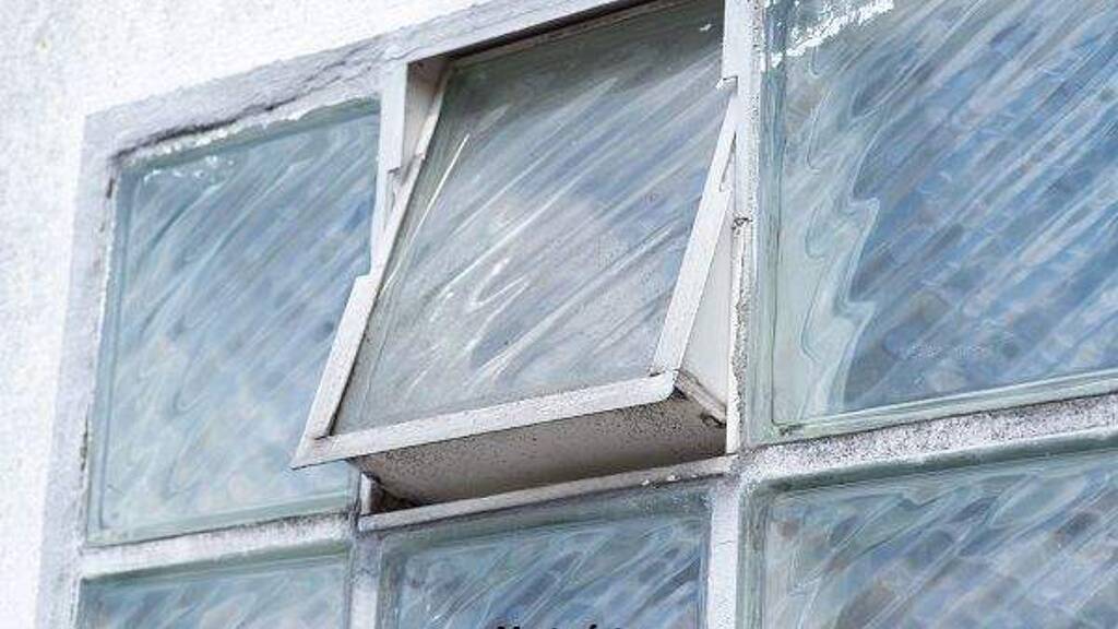 Werkstatt zum Kauf 99.100 € 96 m² Lagerfläche Dorfstadt Falkenstein/Vogtl. 08223