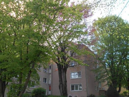 Wohnung zum Kauf provisionsfrei 210.000 € 2 Zimmer 50,6 m² EG Wielandstraße 45 Wiesbaden 65187