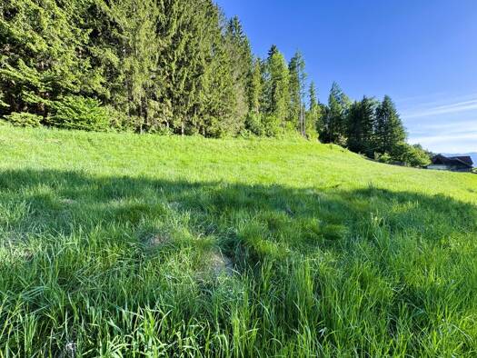 Grundstück zum Kauf 199.000 € 2.090 m² Grundstück Öblarn 8960