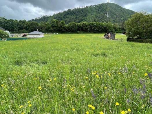 Grundstück zum Kauf 438.000 € 6.257 m² Grundstück Gratkorn 8101