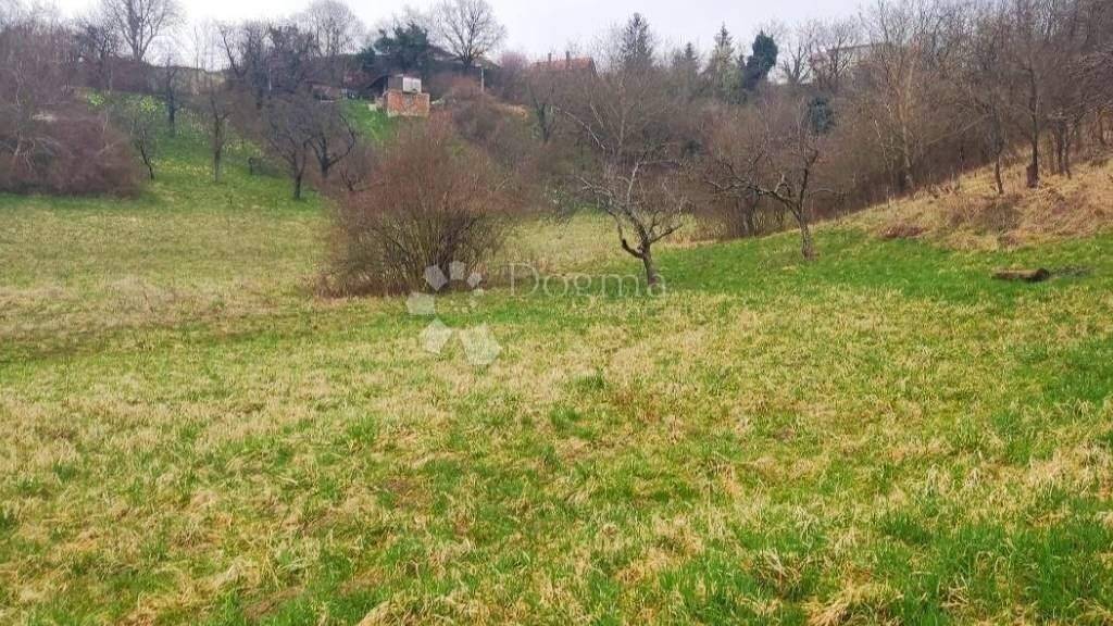 Land-/Forstwirtschaft zum Kauf 300.000 € Gracani