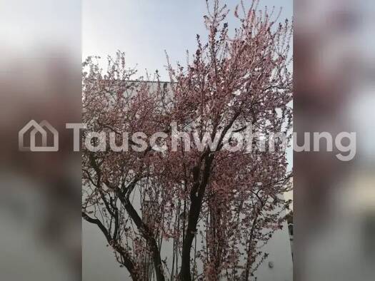 Wohnung zur Miete Tauschwohnung 1.300 € 3 Zimmer 86 m² 1. Geschoss Betzenhausen Freiburg im Breisgau 79110