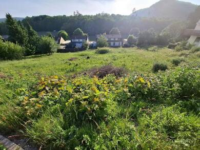 Grundstück zum Kauf 125.000 € 848 m² Grundstück Burladingen Burladingen 72393