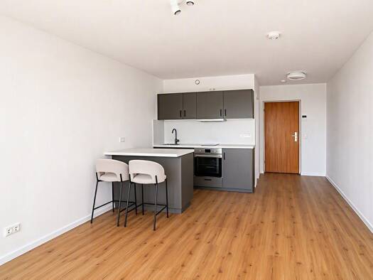 Studio zur Miete 1.225 € 1 Zimmer 32,4 m² 2. Geschoss frei ab sofort Leopoldstraße 206 Schwabing-Freimann München 80804