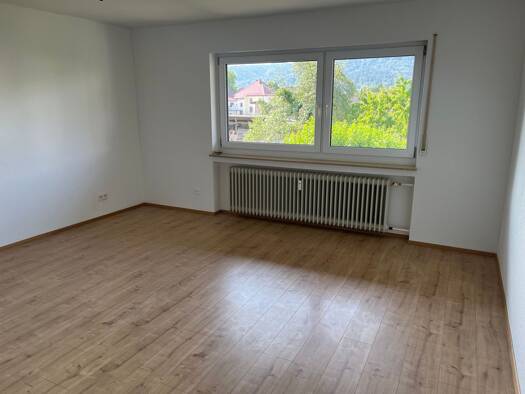 Wohnung zur Miete 495 € 1 Zimmer 45 m² Geschoss 1/2 frei ab sofort Worblingen Rielasingen-Worblingen 78239
