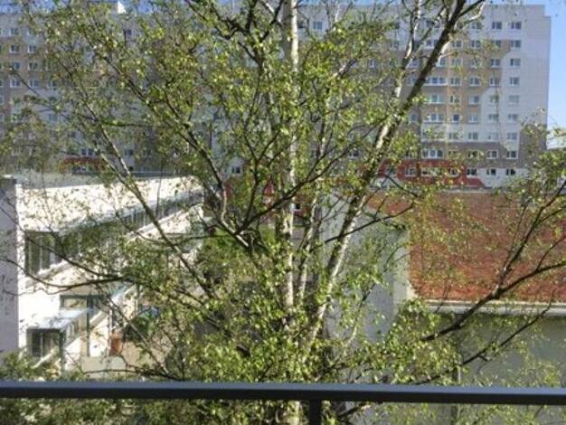 Wohnung zur Miete 499 € 4 Zimmer 65 m² 2. Geschoss frei ab 15.05.2026 Mühlsdorfer Weg 3 Leuben Dresden 01257