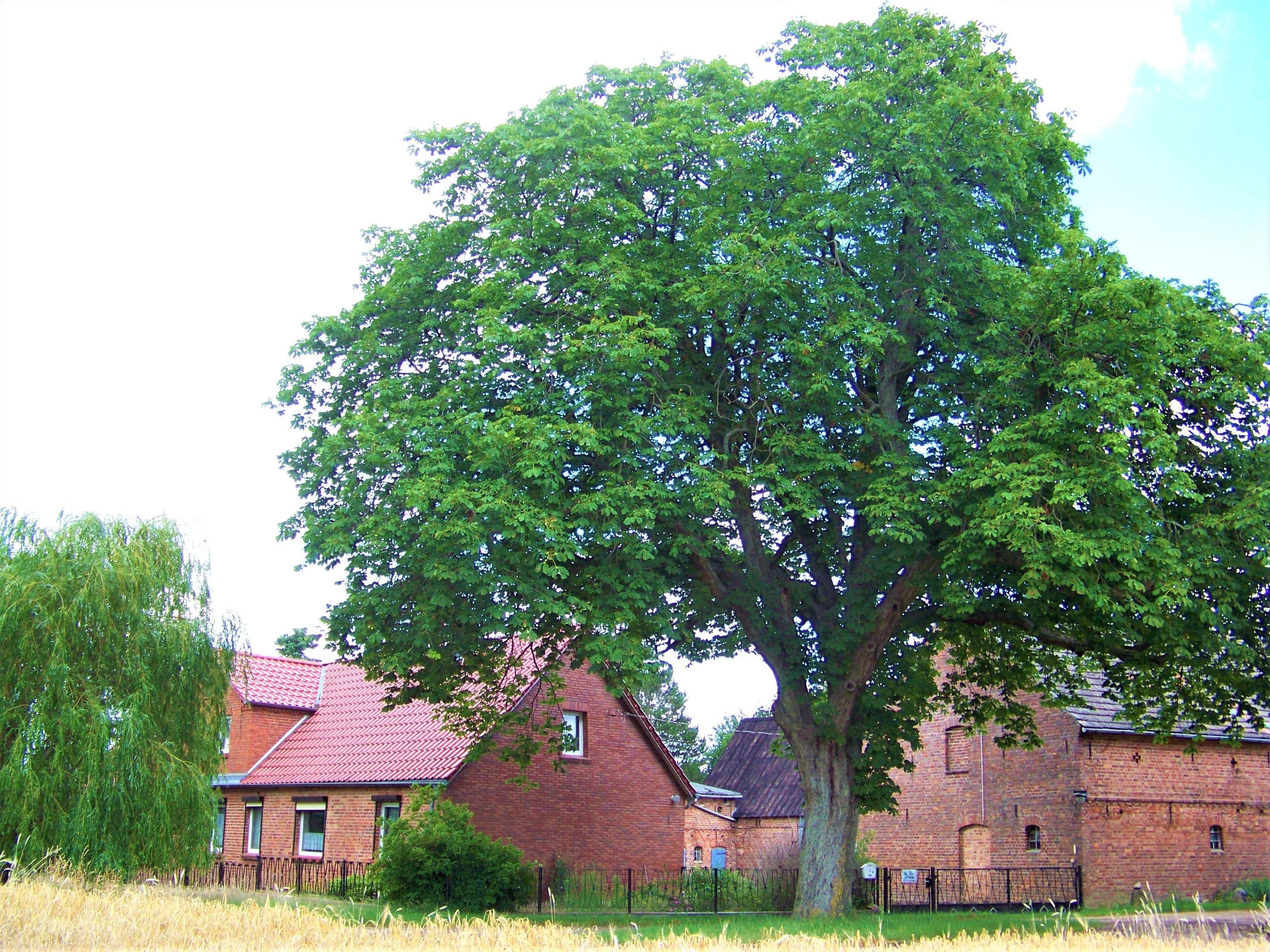 Landwirtschaftliche Fläche zum Kauf 120.000 € 63.133 m²<br/>Fläche Seddin Ausbau 202 Strigleben Groß Pankow (Prignitz) 16928