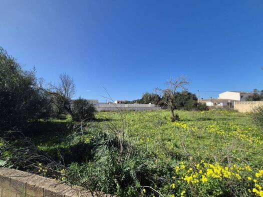 Grundstück zum Kauf 260.000 € 214 m² Grundstück Ses Salines 07640