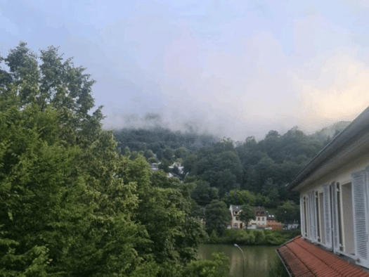 Wohnung zur Miete 800 € 2 Zimmer 48 m² Geschoss 2/3 frei ab 01.01.2027 Ziegelhausen Heidelberg 69118