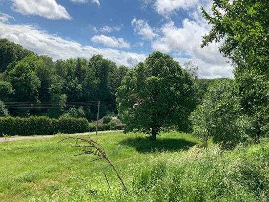 Grundstück zum Kauf 150.000 € 10.009 m² Grundstück frei ab 10.01.2026 Oberrohner Hauptstraße 7 Oberrohn Tiefenort 36469