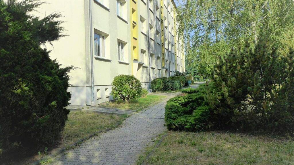 Wohnung zur Miete 270 € 2 Zimmer 45 m² Am Dreieck 34 Borna 04552