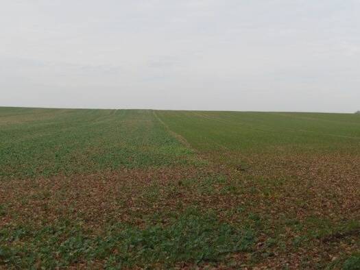 Land-/Forstwirtschaft zum Kauf 15.000 € 10.238 m² Grundstück Döllen Gumtow 16866