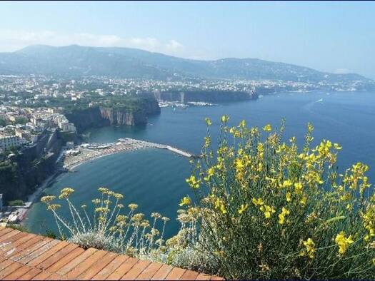 Villa zum Kauf 6.500.000 € 870 m² 900 m² Grundstück Meta 80062