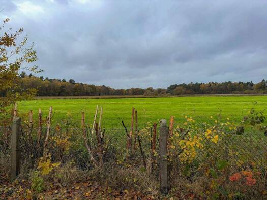 Grundstück zum Kauf 258.000 € 1.234 m² Grundstück Wiemerskamp Tangstedt - OT Wiemerskamp 22889