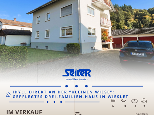 Mehrfamilienhaus zum Kauf 590.000 € 9 Zimmer 220 m² 677 m² Grundstück frei ab sofort Teichmattstraße 3 Wieslet Kleines Wiesental 79692