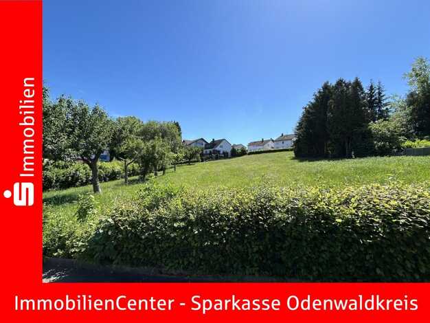 Grundstück zum Kauf 167.980 € 908 m² Grundstück frei ab sofort Erbach Erbach 64711