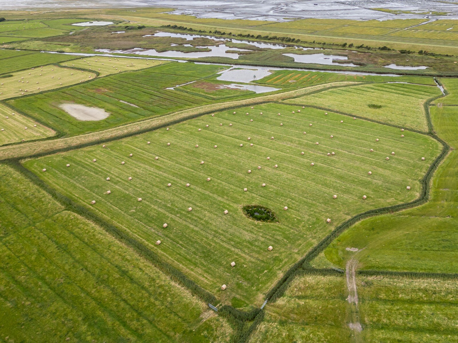 Land-/Forstwirtschaft zum Kauf 32.260 m²<br/>Grundstück Sankt Peter-Ording 25826