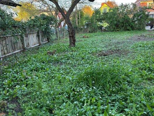 Grundstück zum Kauf provisionsfrei 470.000 € 493 m² Grundstück Wien 1220