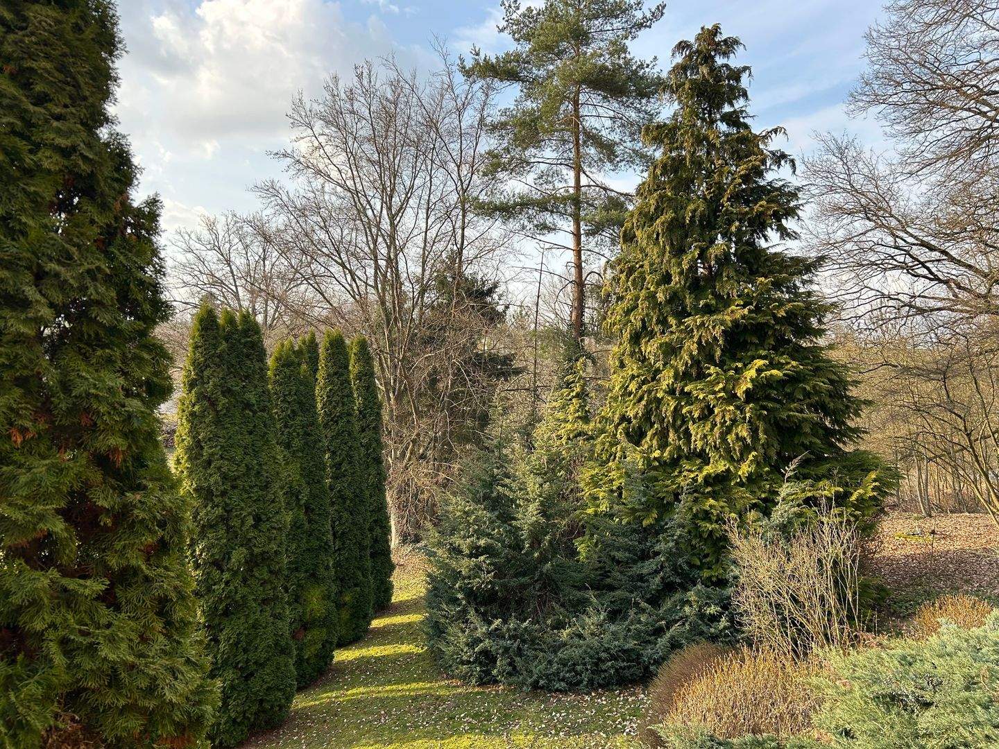 Immobilie in Kohlberg - Erlebnis Wohnen im mediterranen Stil - Bild 3