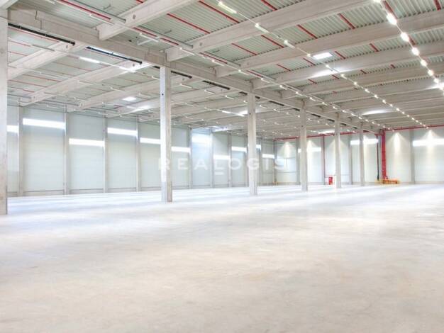Halle/Industriefläche zur Miete 26.604 m² Lagerfläche teilbar ab 7.300 m² Dormagen 41541