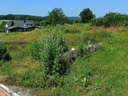 Einfamilienhaus zum Kauf provisionsfrei 333.500 € 5 Zimmer 138 m² 810 m² Grundstück Dittersdorf Amtsberg 09439