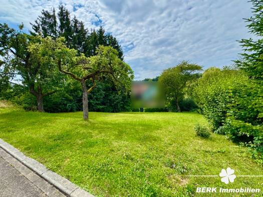 Grundstück zum Kauf 45.000 € 705 m² Grundstück Rauenberg Freudenberg 97896