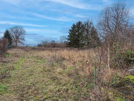 Immobilie zum Kauf als Kapitalanlage geeignet 849.000 € 3.017 m² 3.017 m² Grundstück Lindenberg Ahrensfelde 16356