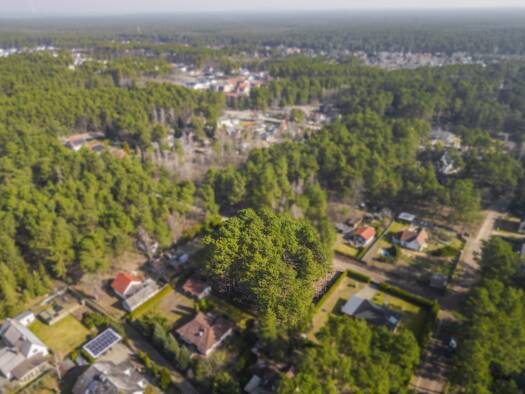 Forstwirtschaft zum Kauf 220.000 € 2.044 m² Grundstück Arndstraße 14a Borkwalde 14822