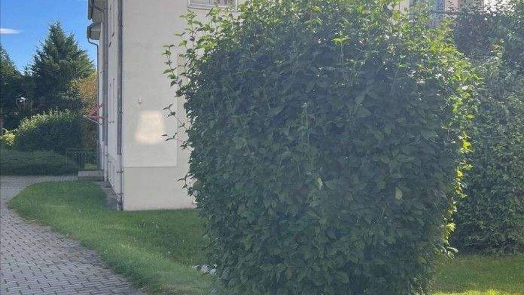 Wohnung zur Miete 351 € 2 Zimmer 50,2 m² 1. Geschoss Fliederweg 8 Silberstraße Wilkau-Haßlau 08112