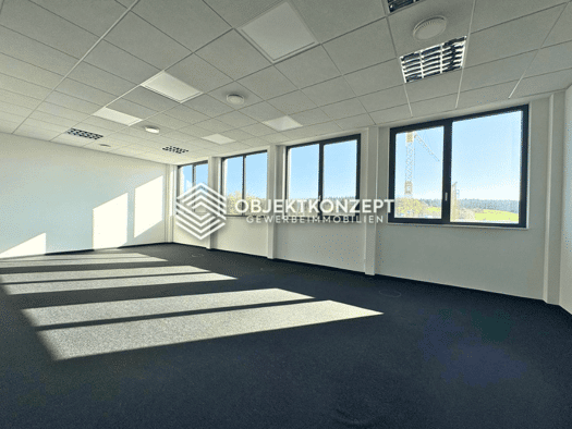 Bürofläche zur Miete provisionsfrei 350 m² Bürofläche Engen Engen 78234