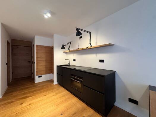 Studio zur Miete 1.620 € 1 Zimmer 46,4 m² EG frei ab sofort Parkstraße 31 a Schwanthalerhöhe München 80339