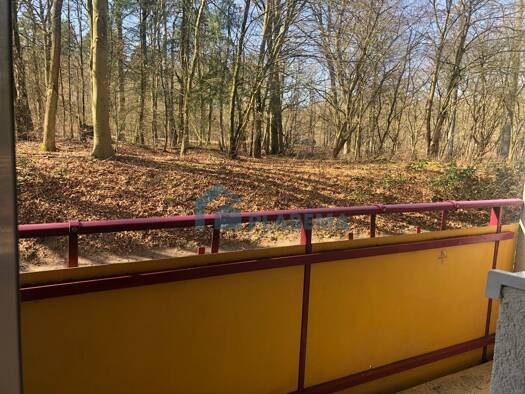 Wohnung zur Miete 410 € 2 Zimmer 45,6 m² EG Ludwigsluster Chaussee 13 Großer Dreesch Schwerin 19061