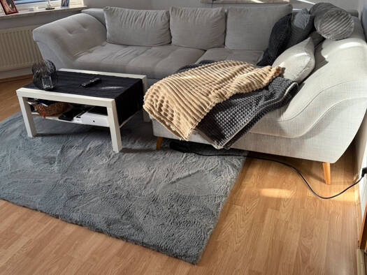 Wohnung zur Miete 400 € 2 Zimmer 65 m² Geschoss 3/3 Oberplanitz Zwickau 08064