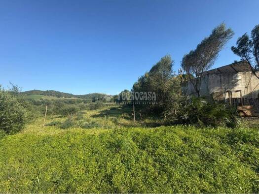 Acker-/Waldstück zum Kauf 140.000 € Barbate 11159