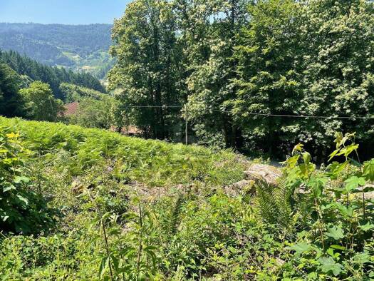 Grundstück zum Kauf 135.000 € 1.585 m² Grundstück Furschenbach Ottenhöfen im Schwarzwald 77883