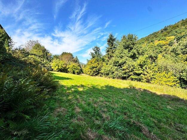 Einfamilienhaus zum Kauf 260.000 € 5 Zimmer 104 m² 3.134 m² Grundstück Rippberg Walldürn-Rippberg 74731