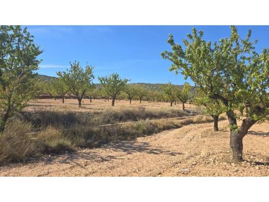 Acker-/Waldstück zum Kauf 52.500 € Salinas 03638