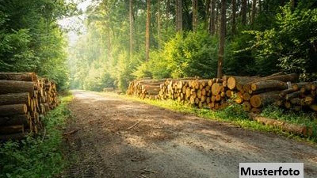 Land-/Forstwirtschaft zum Kauf 148.112 € 16.077 m² Grundstück Pinkafeld 7423