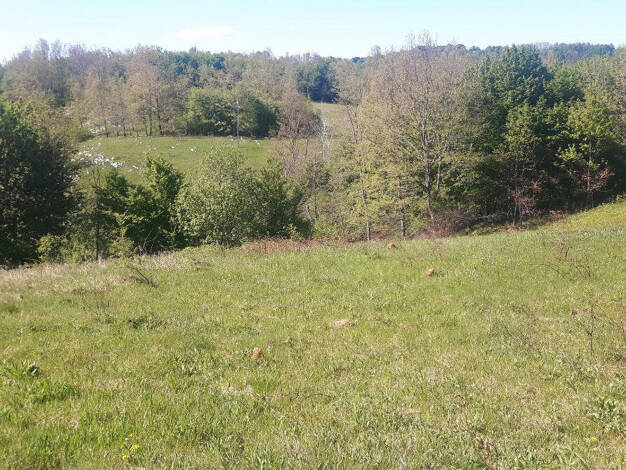 Land-/Forstwirtschaft zum Kauf 56.000 € 56.000 m² Grundstück Slunj 48240
